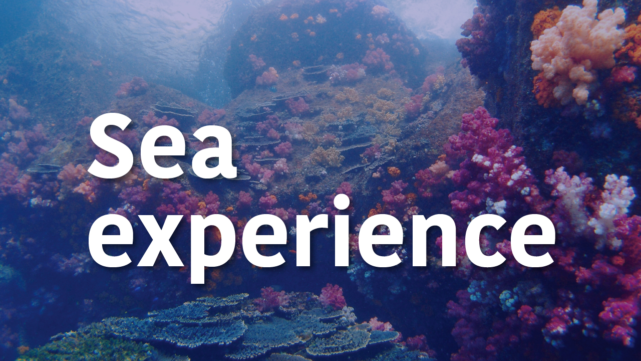Sea experience