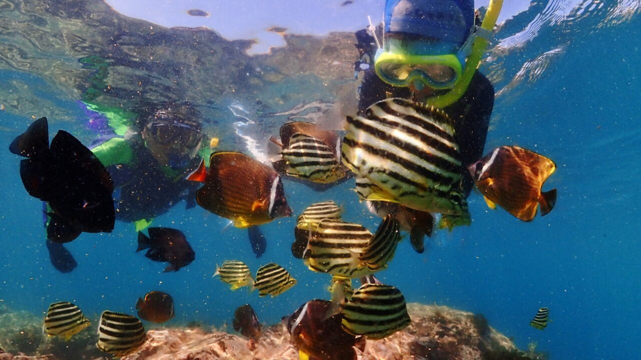 Snorkeling